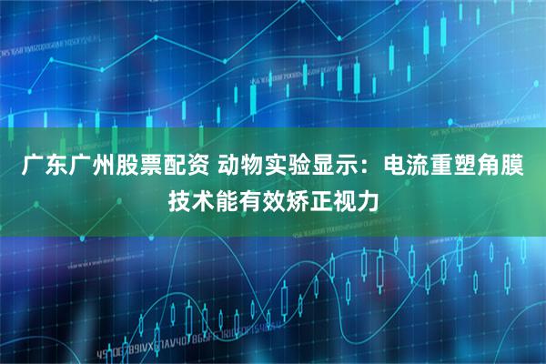 广东广州股票配资 动物实验显示：电流重塑角膜技术能有效矫正视力