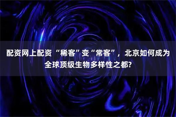 配资网上配资 “稀客”变“常客”，北京如何成为全球顶级生物多样性之都?