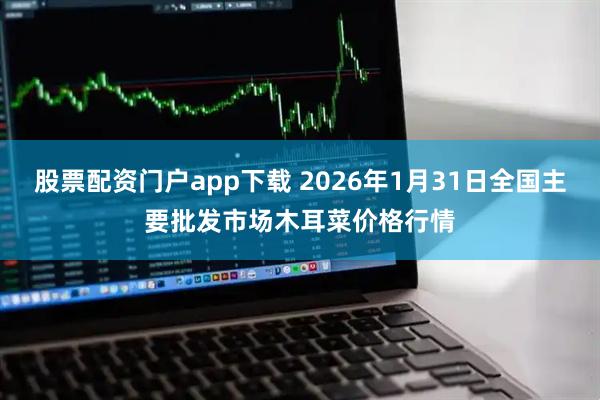 股票配资门户app下载 2026年1月31日全国主要批发市场木耳菜价格行情