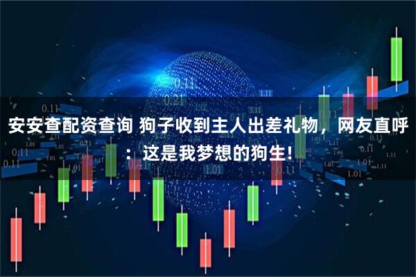 安安查配资查询 狗子收到主人出差礼物，网友直呼：这是我梦想的狗生!