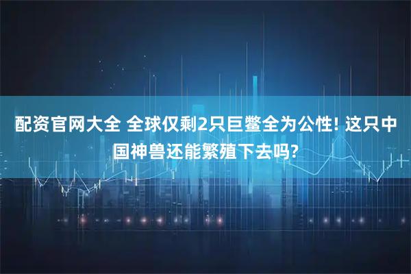 配资官网大全 全球仅剩2只巨鳖全为公性! 这只中国神兽还能繁殖下去吗?