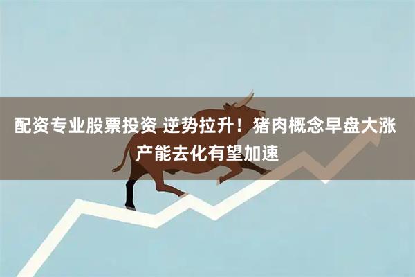 配资专业股票投资 逆势拉升！猪肉概念早盘大涨 产能去化有望加速